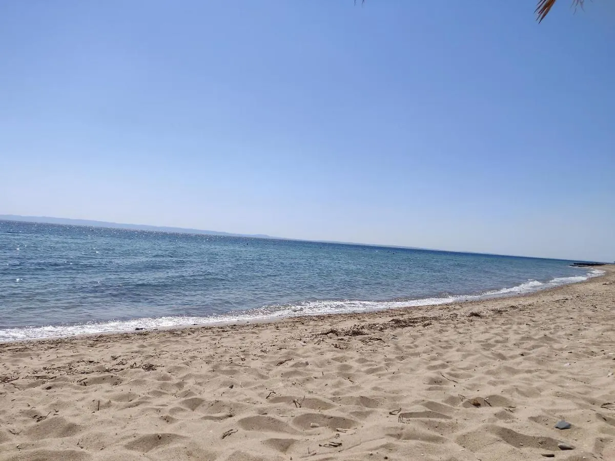 Entire Appartment 50M From Sea - Spiros Metamorfosi  0*, Metamorfosi (Sithonia)