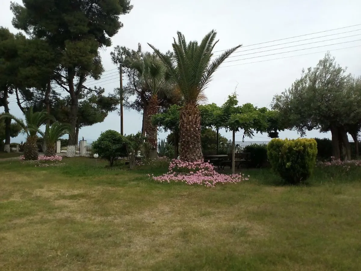 Entire Appartment 50M From Sea - Spiros Metamorfosi  Grecja
