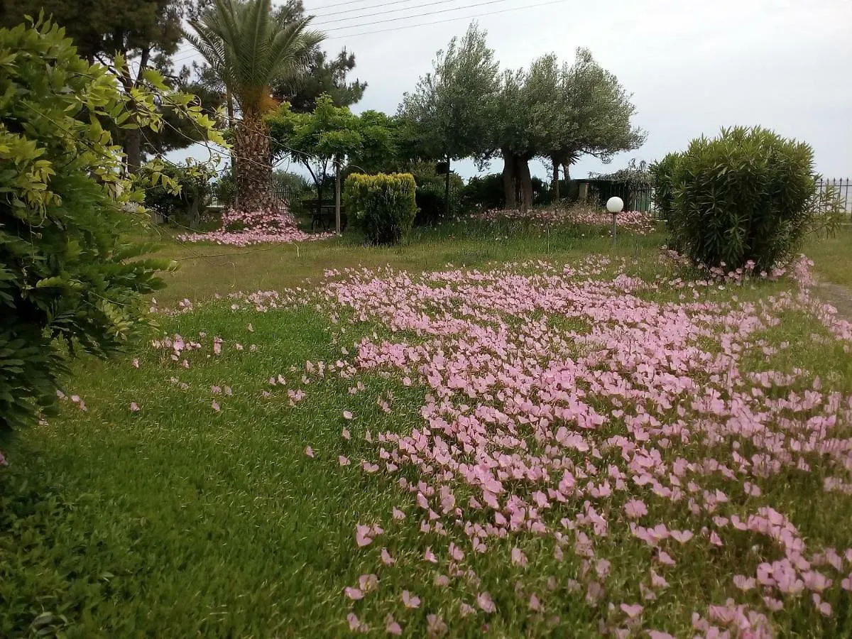 Entire Appartment 50M From Sea - Spiros Metamorfosi  0*, Metamorfosi (Sithonia) Grecja